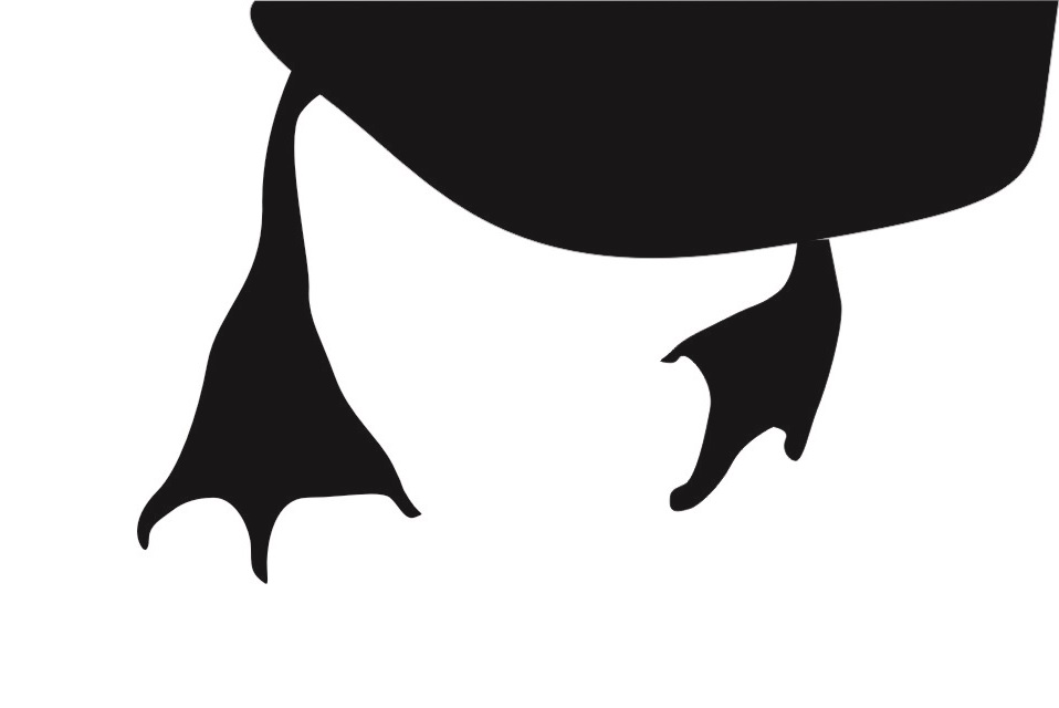 B L A C K    D U C K    K I T C H E N S 